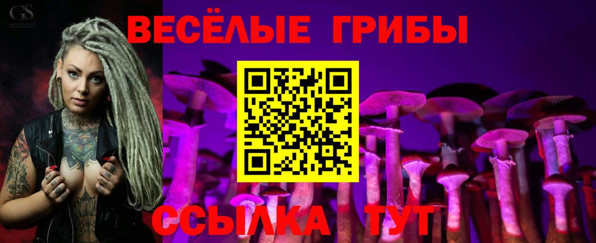 где можно купить наркотик  Псилоцибиновые грибы ЛСД  Вход с VPN  Псилоцибиновые грибы прущие грибы  Новороссийск 