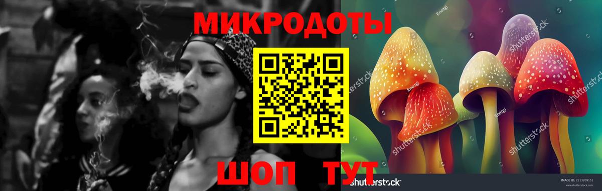Галлюциногенные грибы Magic Shrooms Новороссийск